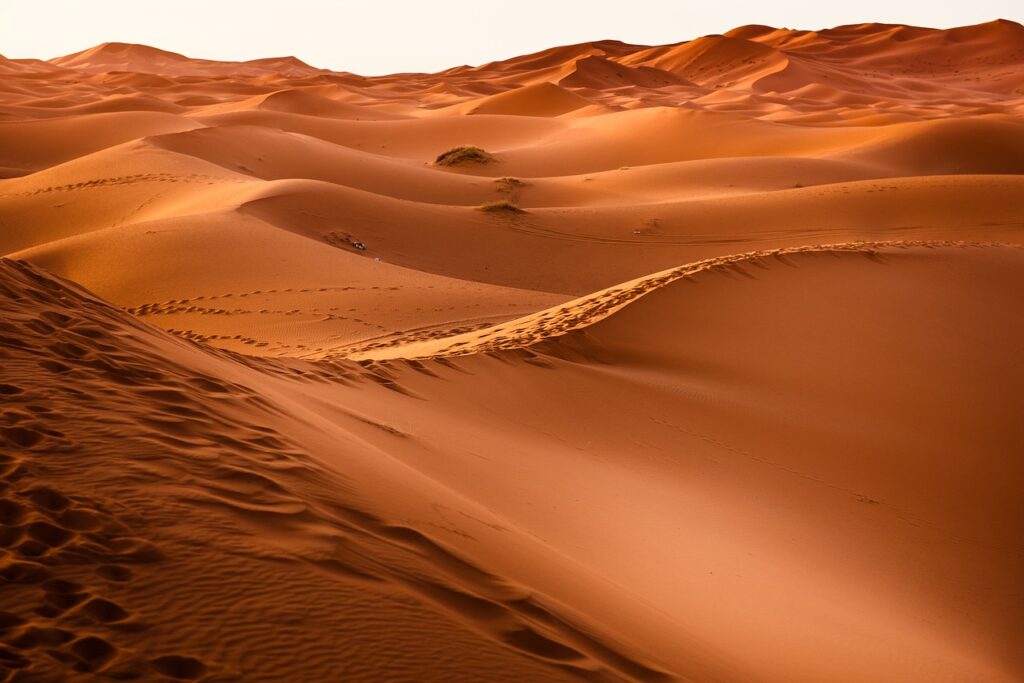 40 Dias de devocionais: Passando pelo deserto