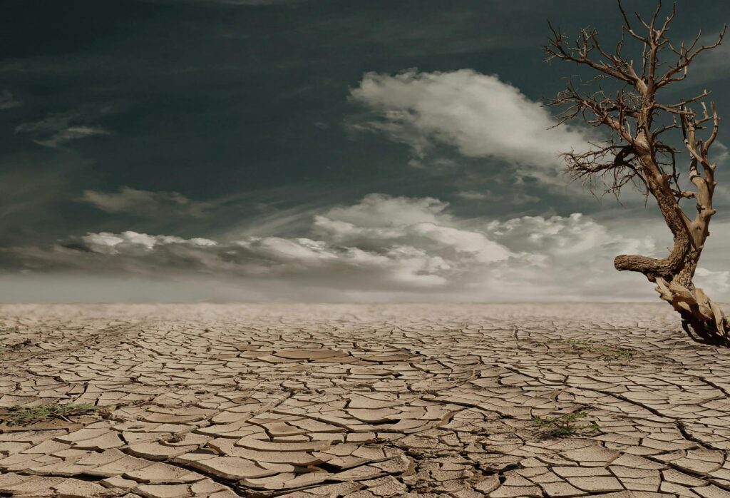 Dia 1: O Chamado ao Deserto